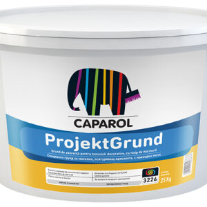 ProjektGrund
